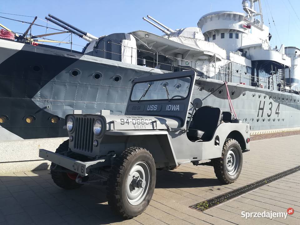 JEEP WILLYS CJ3A NAVY ZAREJESTROWANY na ZABYTEK Leśno