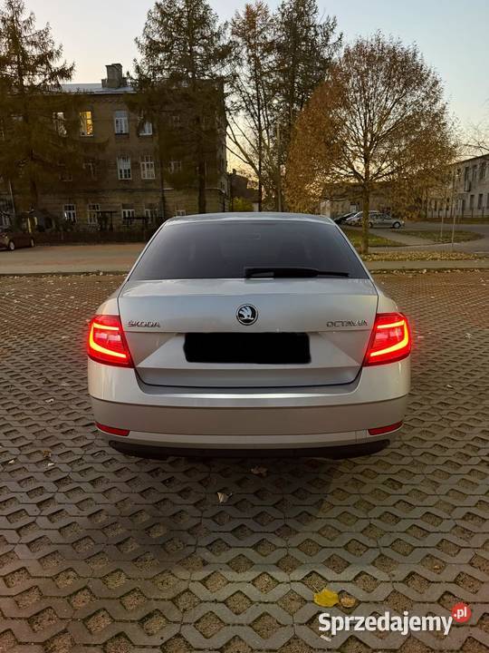 Skoda Octavia 16TDI DSG 2019 Zamiana elektryczne lusterka pomorskie