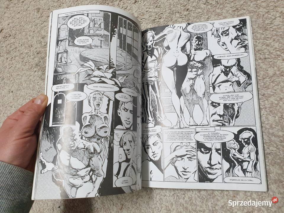 Obywatele w miłosnych uściskach komiks erotyczny dla dorosłych Gdynia