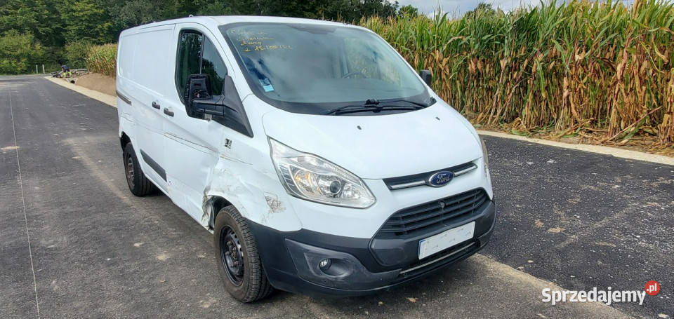 Ford Custom Ford custom biały Pleszew sprzedam