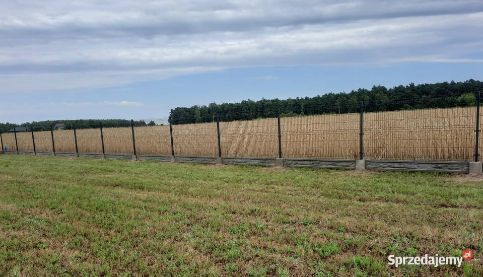 brama przesuwna 6m przesuwna