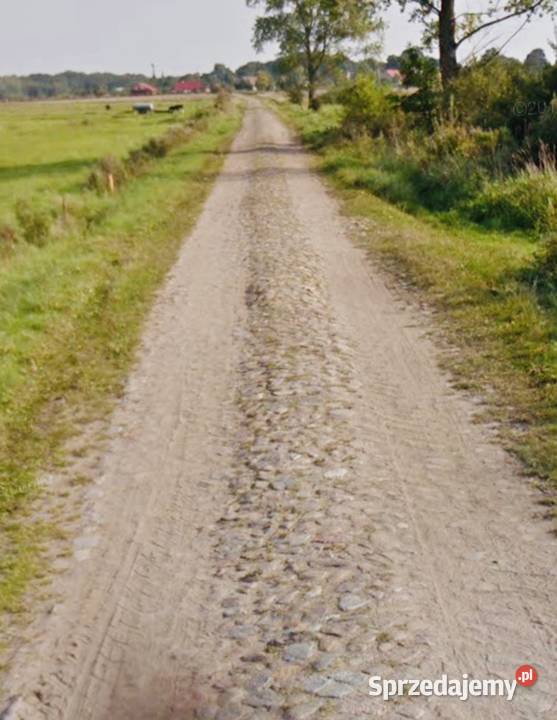 Z pięknymi widokami Sprzedaż zachodniopomorskie Łabędzie