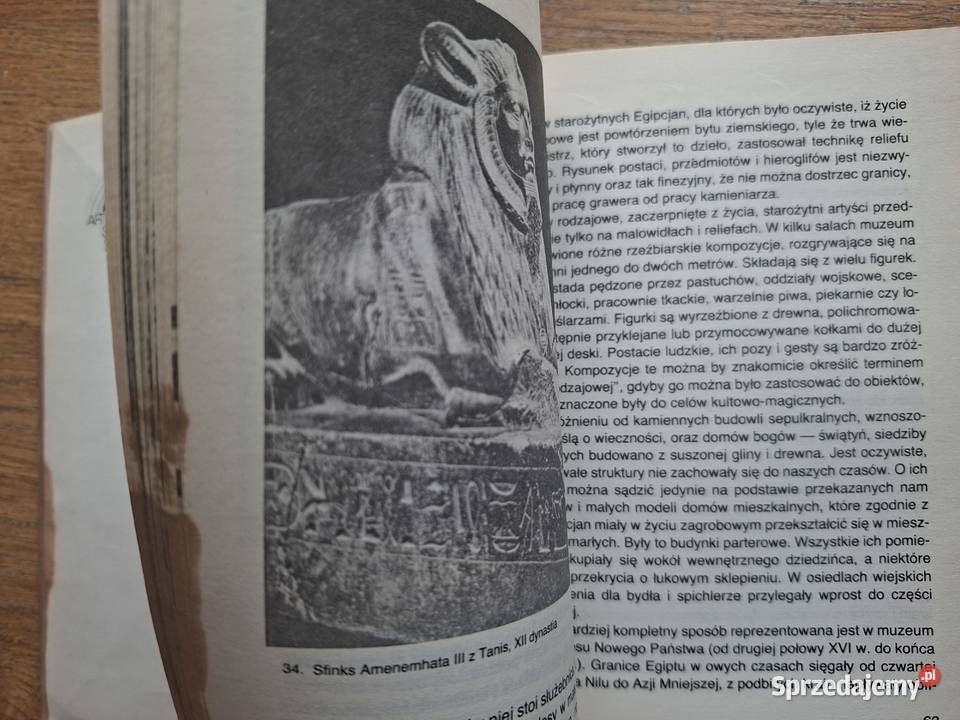 Kair Swietłana Chodżasz Artystyczne stolice ISBN 8322102747 Kraków