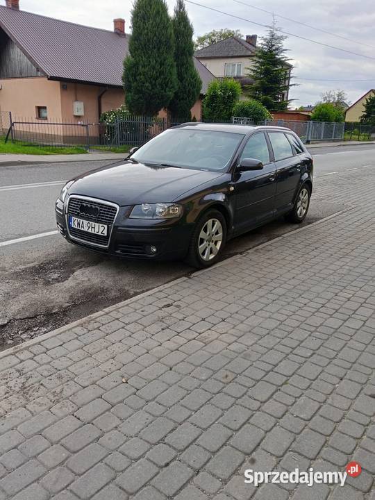 Audi A3 Sportback 19 TDI 2006 Kamień