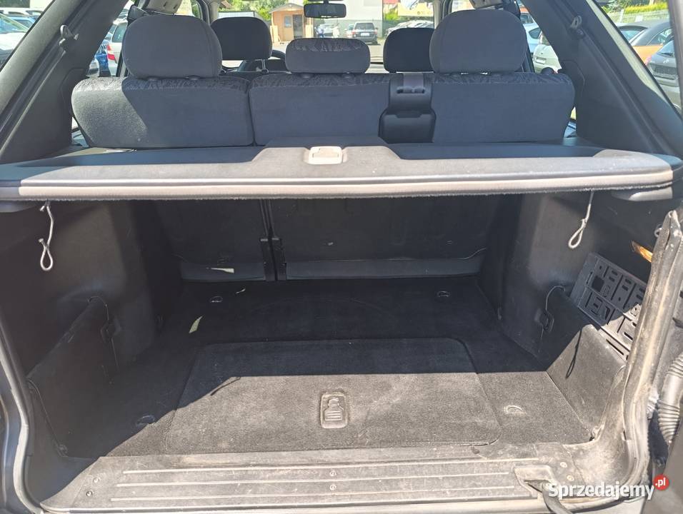Auto świeżo sprowadzone w stanie na zdjęciach Bujaków