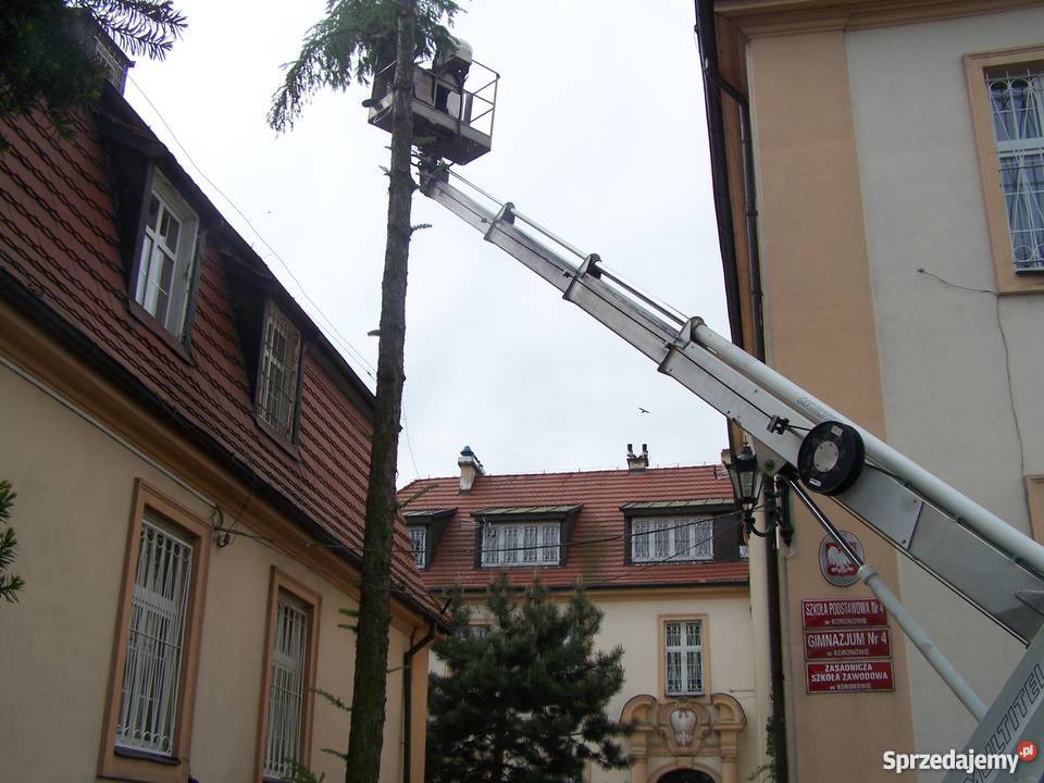 Zakładamy ogrody Systemy nawadniania Kostka