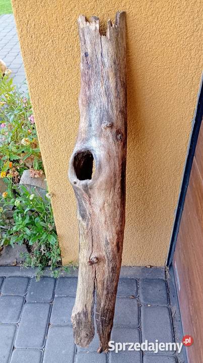 Naturalna kryjówka do terrarium dziupla Siekierki Małe