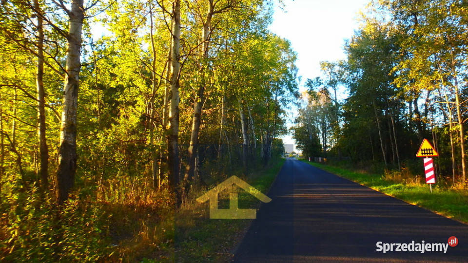 Działka budowlana w Niechnabrzu Niechnabrz sprzedam