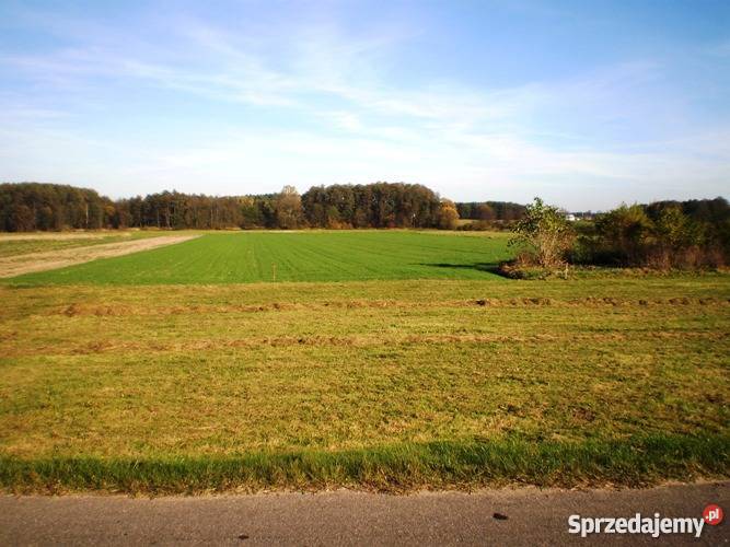 Sprzedam działkę Grunty i działki mazowieckie Suchożebry