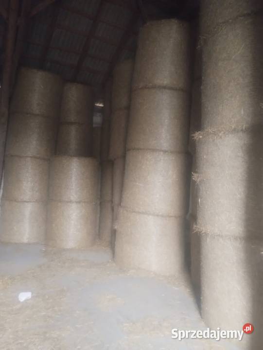 Słoma sucha spod dachu 140 dobrze zbita podlaskie Rosochate Kościelne