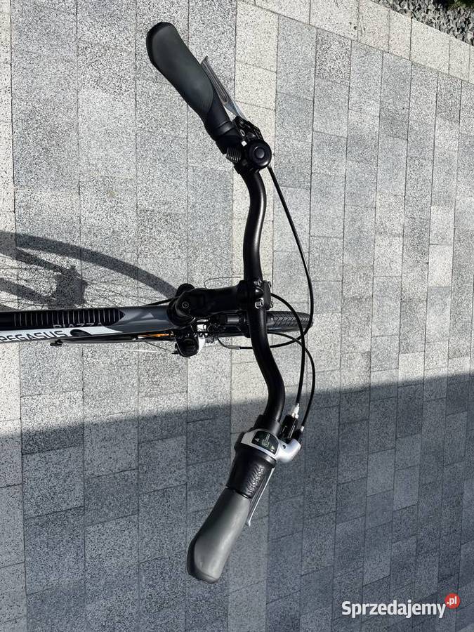 Pegasus Piazza Rower Męski 28 Damski Inowrocław sprzedam