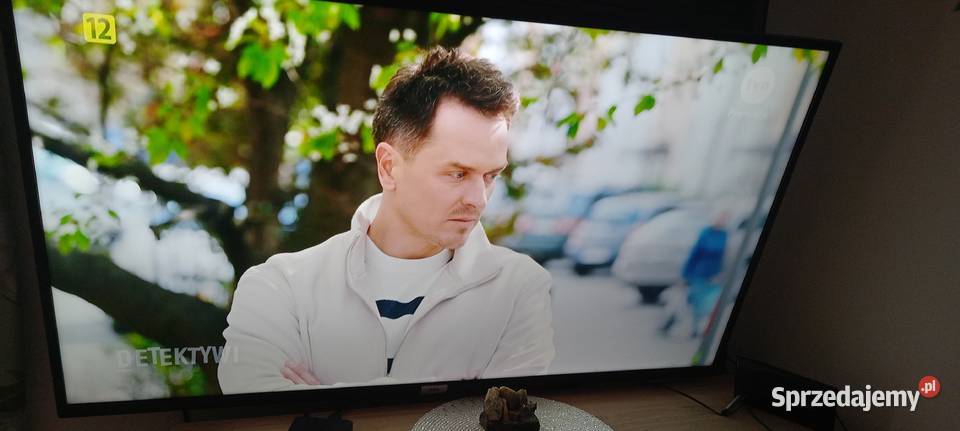 sprzedam tv 50 dolnośląskie Mrowiny