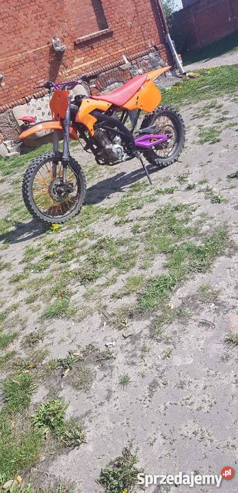 Cross Diabolini 250125duża rama kupiony w Polsce