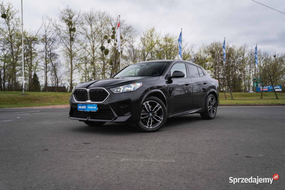 BMW X2 sDrive20i śląskie Zabrze