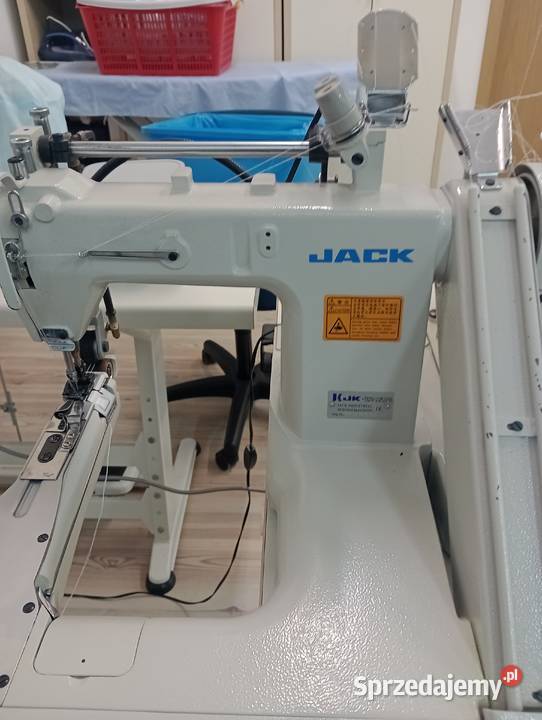 Ramieniówka Jack 2igłowa o śniegu łańcuszkowym małopolskie Wolbrom