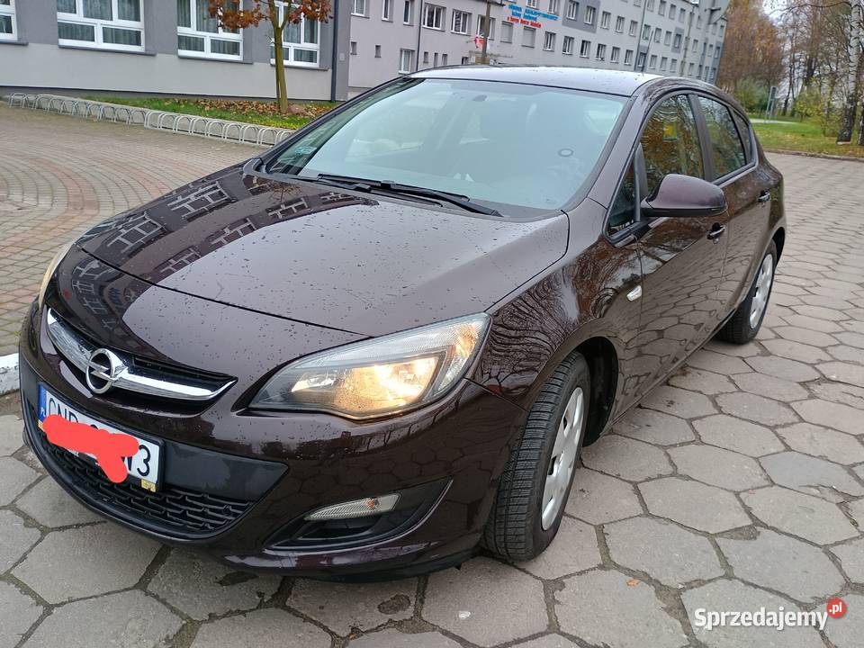 SPRZEDAM pomorskie Nowy Dwór Gdański sprzedam