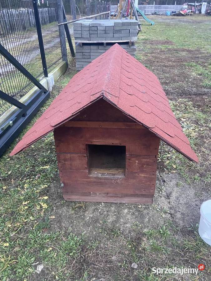 buda psa Głogów Małopolski