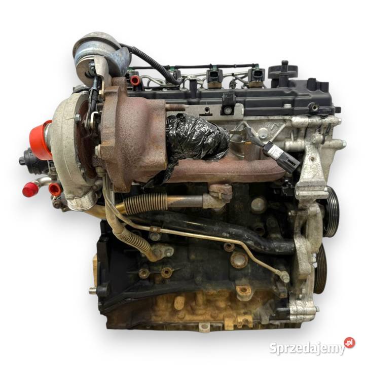 SILNIK D4FD Kia Sportage III IV Optima Carens 17 osobowe Chełm