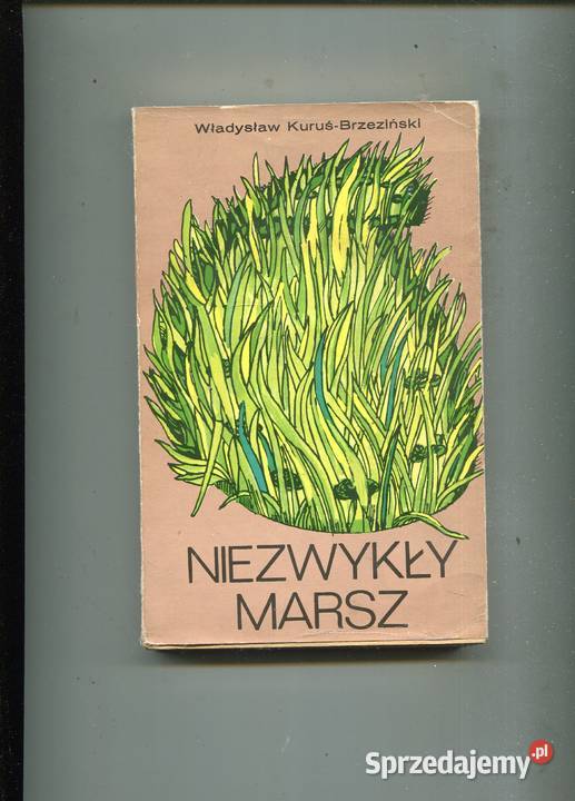 Niezwykły marsz Władysław KuruśBrzeziński Szczecin