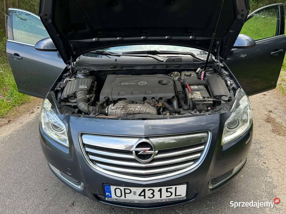 Opel Insignia Górki Duże sprzedam