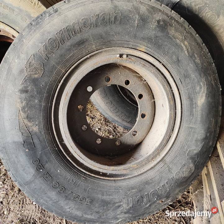 koła 3856520 brandyss nieuszkodzony Grodków sprzedam