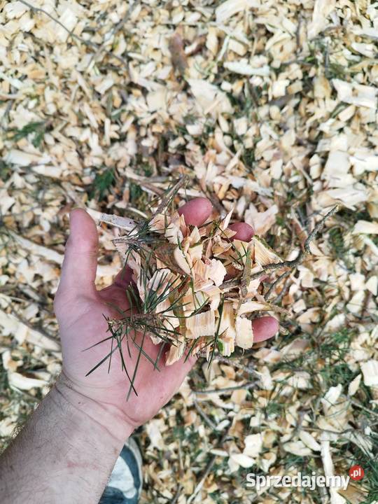 Rębak rozdrabniacz tarczowy Pozostałe Opoczno