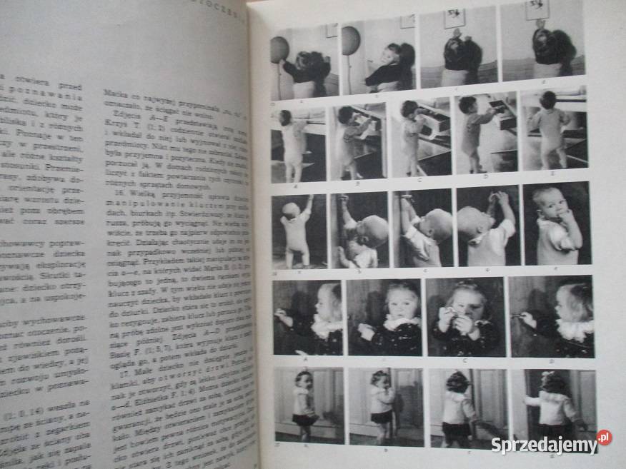 Rozwój niemowlęciaRozwój małego dzieckaRozwój w Łódź