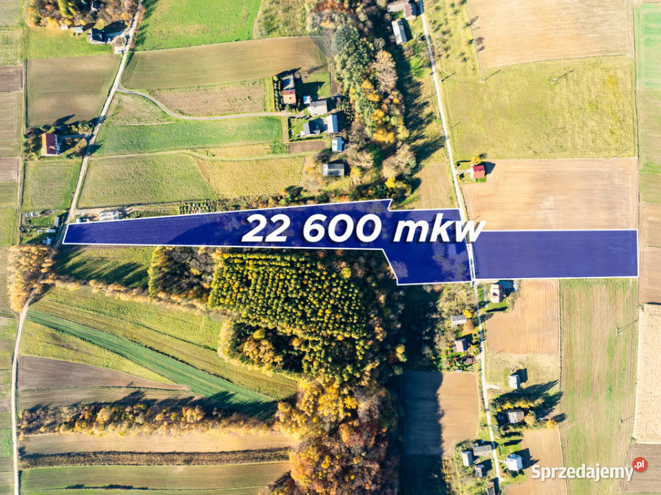 Dom z kawałkiem lasu i bijącym źródłem kSkały