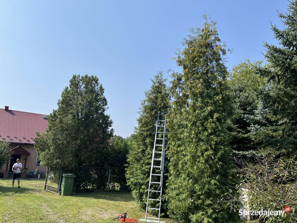 Usługi ogrodnicze i nie Taniej niz u konkurencji Rozkochów