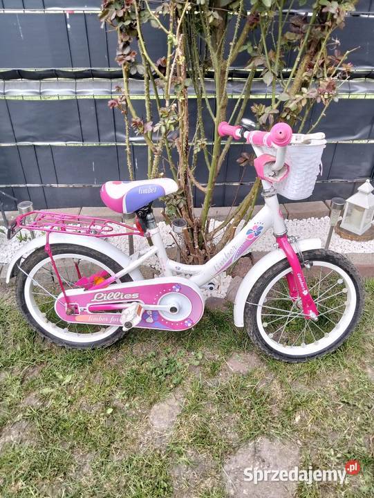 Rowerek dziecięcy 16" Retków