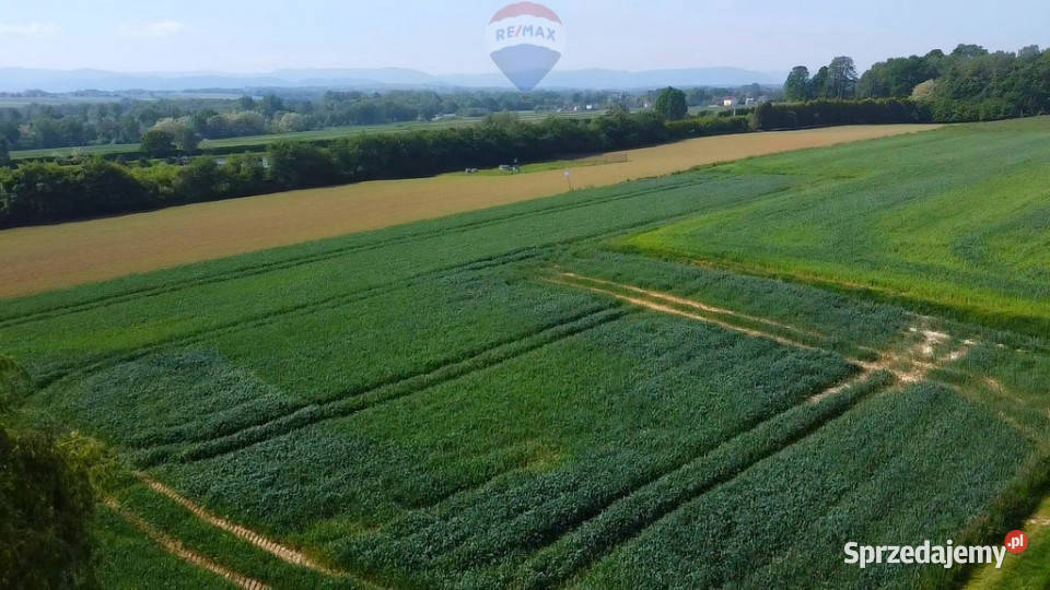 Działka z lasem i widokiem na góry 4 ha Gierałtowice