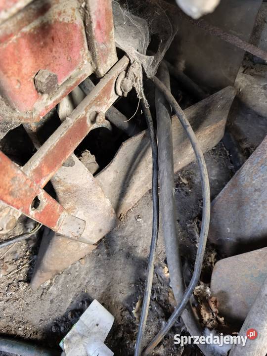 Sadzarka do ziemniaków czeska Wierzbie