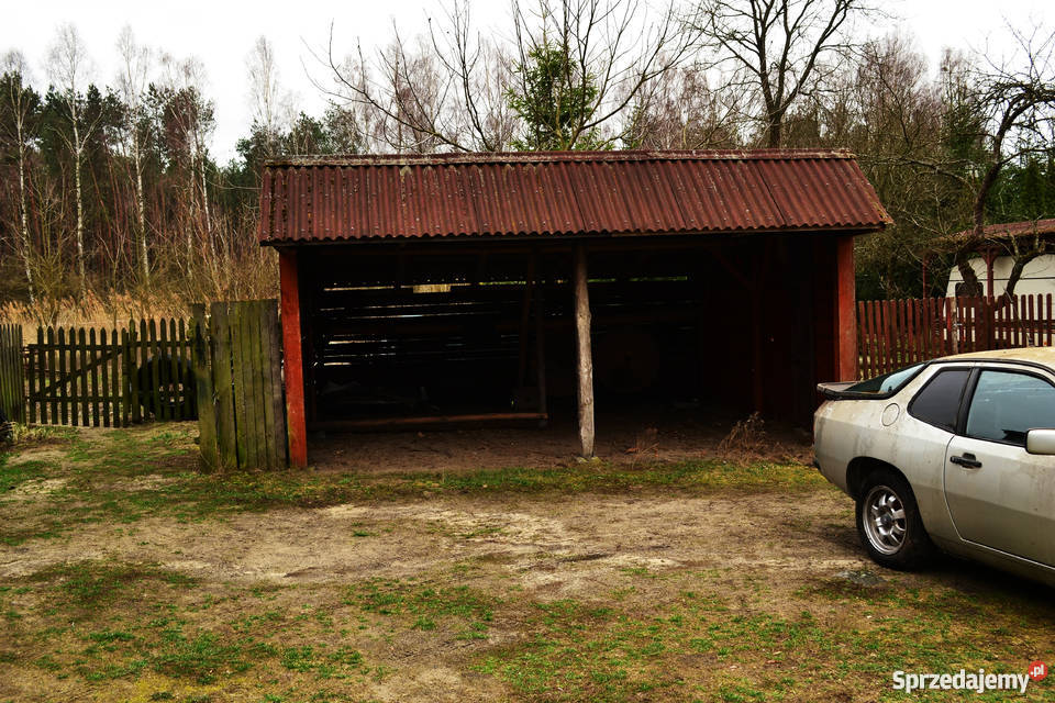 Dom na wsi lesie piękna okolica do remontu