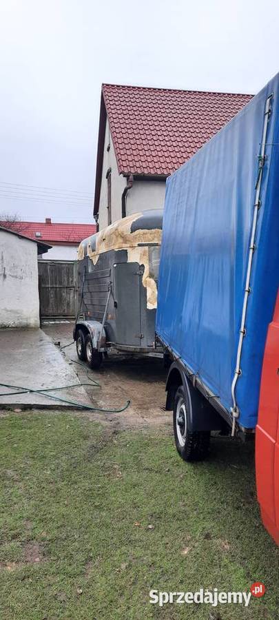 Przyczepa do przewozu koni Motoryzacja Czerwona Woda