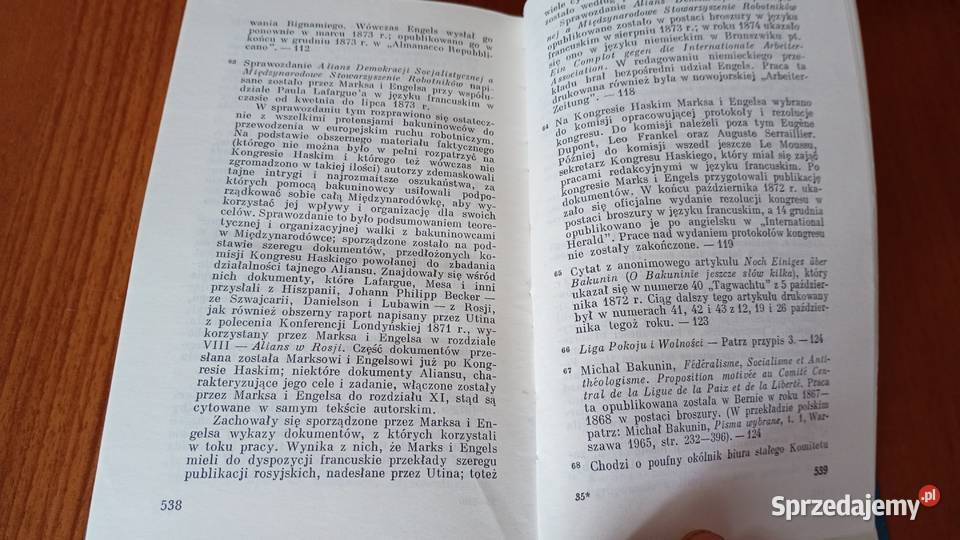 O anarchizmie i anarchosyndykalizmie wybór Karol studia pomorskie