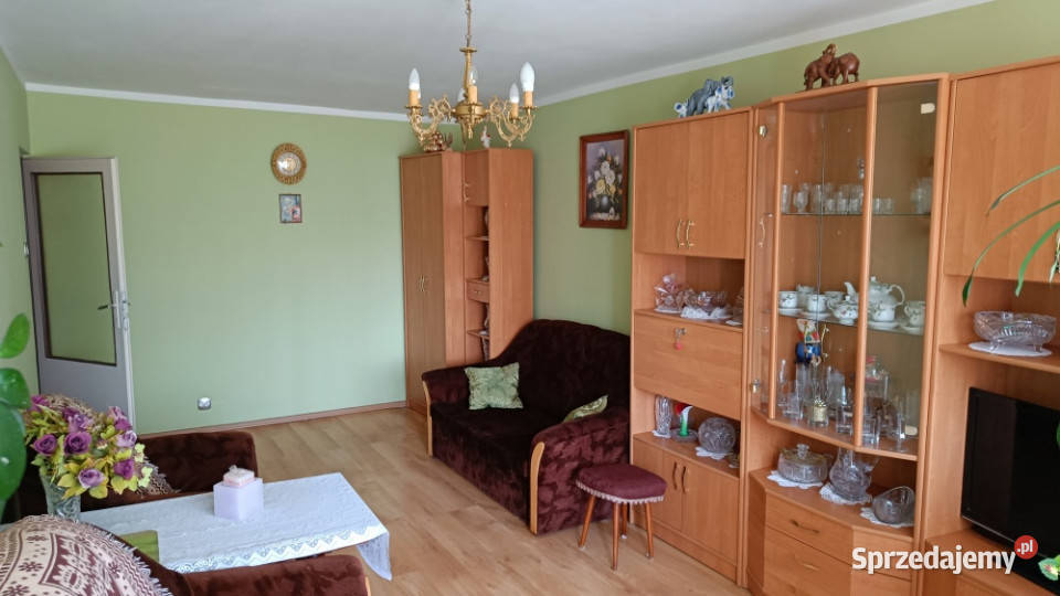 Wynajmę mieszkanie dwupokojowe Gdańsk Stogi bez 45m2 sprzedam