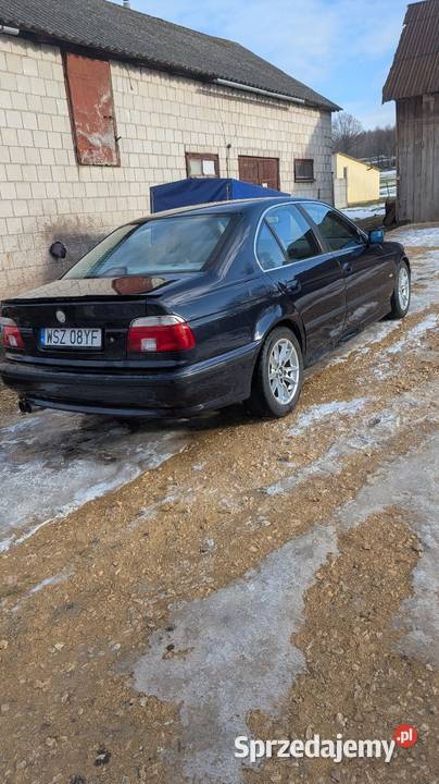 BMW E39 528 kupiony w Polsce Momocicha