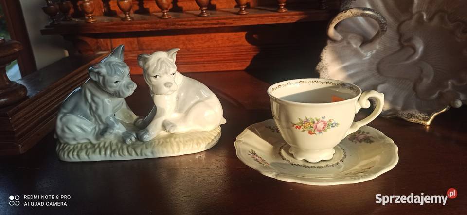 Figurka porcelanowa 2 Pieski
Śliczna bez Gdańsk