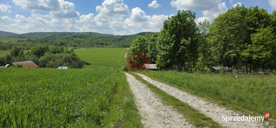 Działka 5200m2 Dębowa Sprzedaż