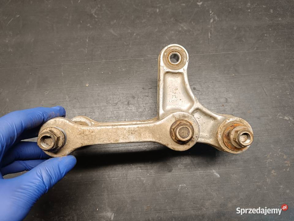 Kiwak kołyska łącznik wahacza kości części małopolskie