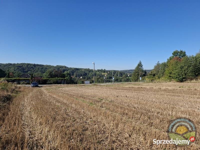Brzoskwinia gm Zabierzów widokowa 39arowa 3900m2
