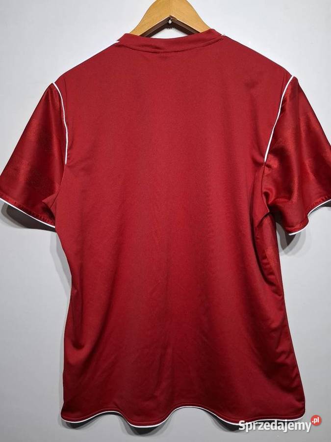 Koszulka treningowa reprezentacji Grenlandii Rozmiar L Kraków