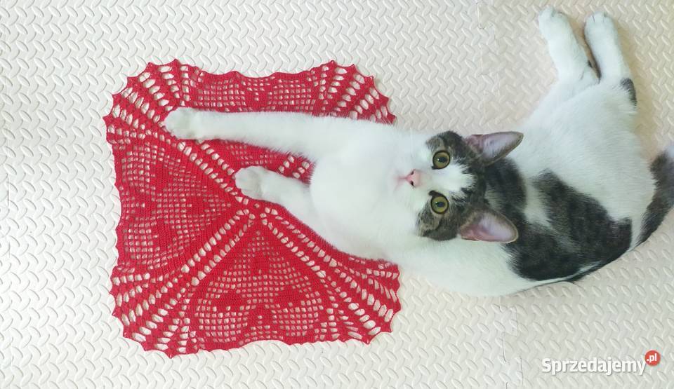 Serwetka szydełkowa śląskie Częstochowa