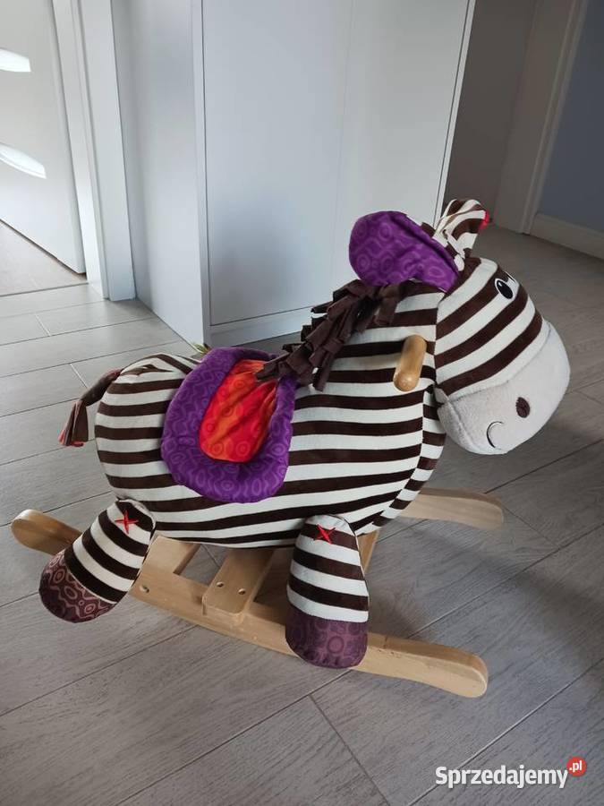Zebra na biegunach Siedlce