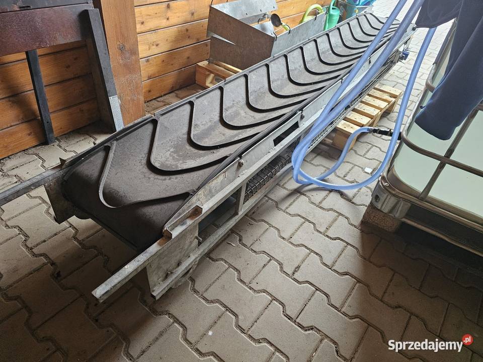 Taśmociąg 3 metry 40 podajnik budowlany Gniezno