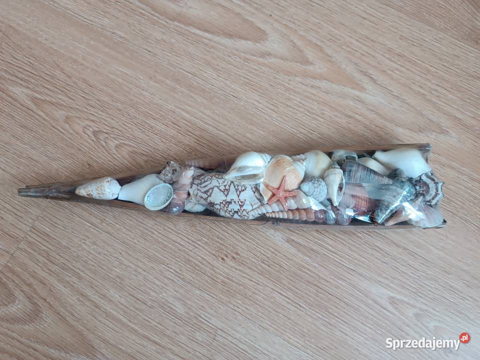Muszle muszelki ozdoba morska NOWA Oryginalnie Ozdoby Szczyrk sprzedam