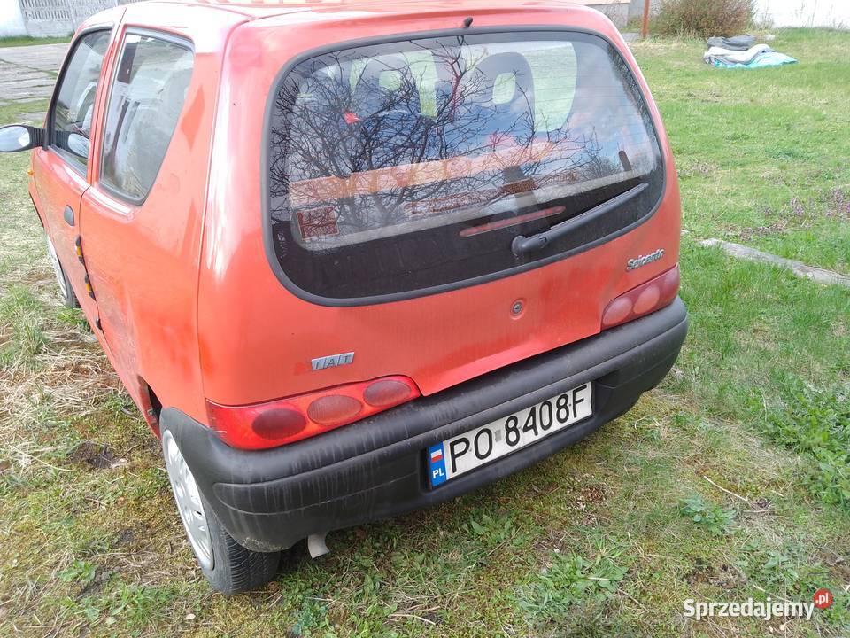 Seicento 11 opłaty aktualne Czarnków