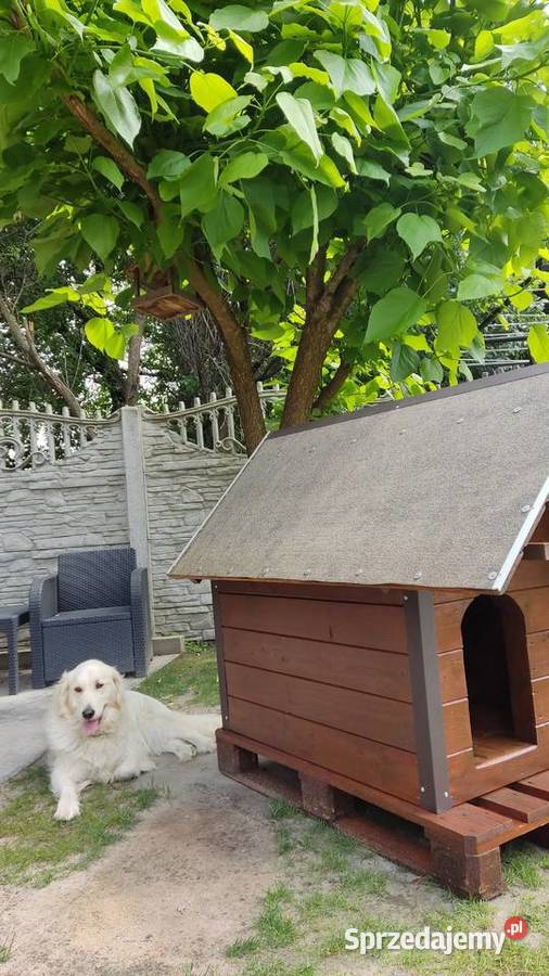 Buda psa ocieplana podkarpackie Wiązownica sprzedam