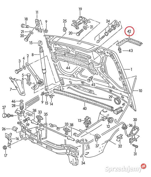 Audi 80 B4 Cabrio Coupe Uszczelka lampy maski osobowe Dębica