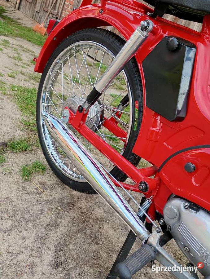 Komar 2351 Trzcianka